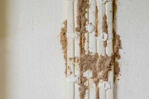How to Handle Electrical Wiring in Older Homes